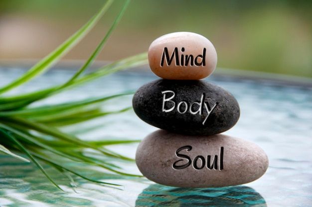 The Hidden Link Between Organic Food and a Calmer Mind
